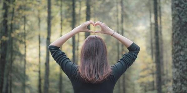 Le foie et la&nbsp;naturopathie