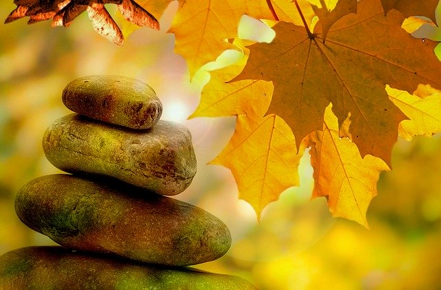 LA NATUROPATHIE,  L&rsquo;AUTOMNE & SES&nbsp;EMOTIONS…