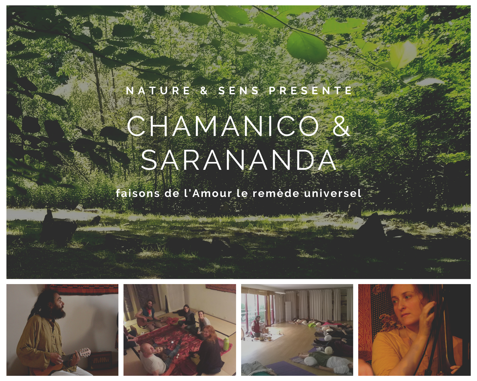 Montage photo tableau d'humeur avec des plantes et des arbres verts (2)